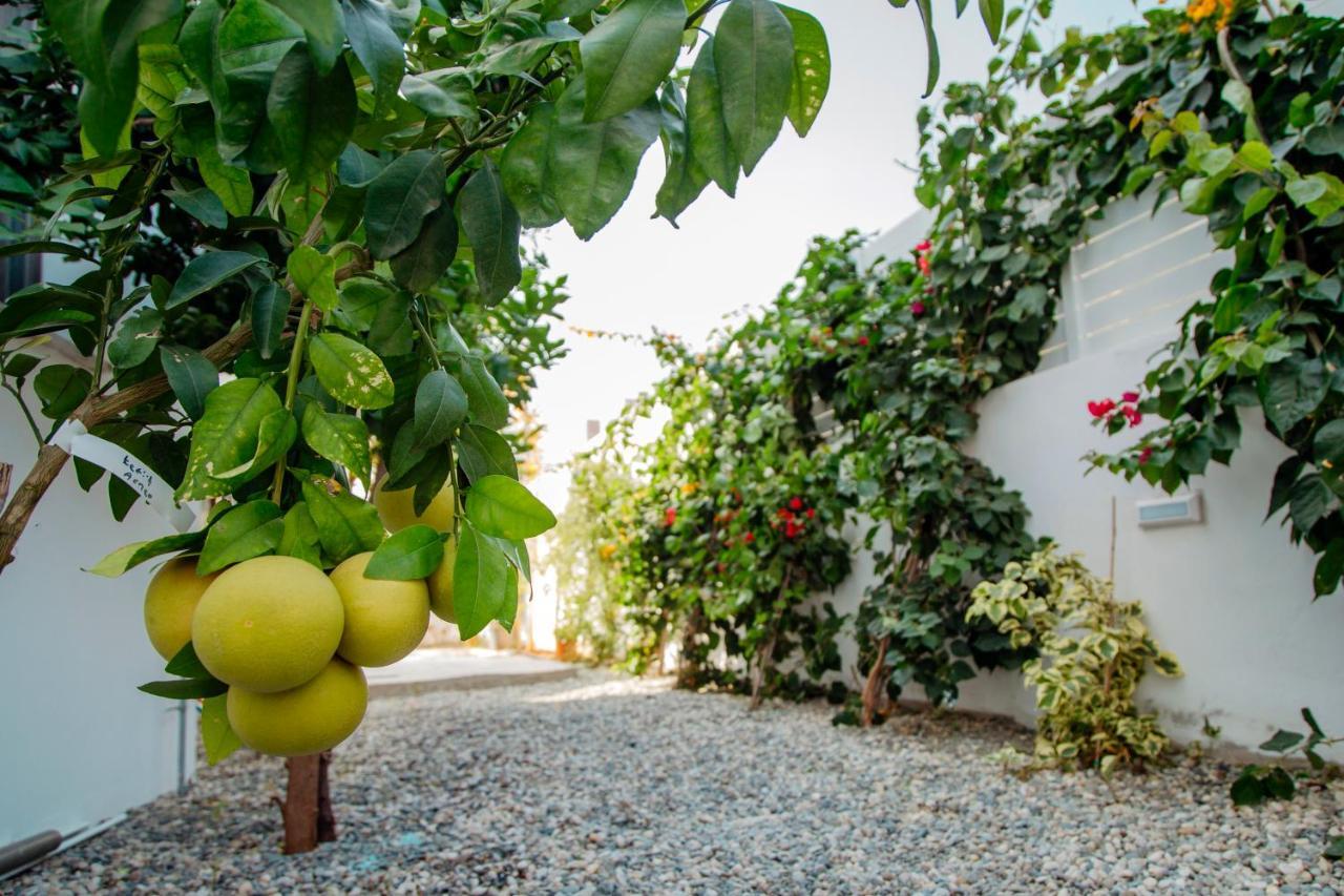 Island Home Seaside Villa パラリムニ エクステリア 写真